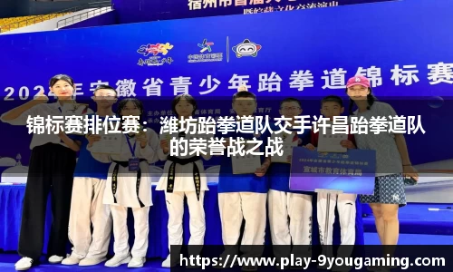 锦标赛排位赛：潍坊跆拳道队交手许昌跆拳道队的荣誉战之战
